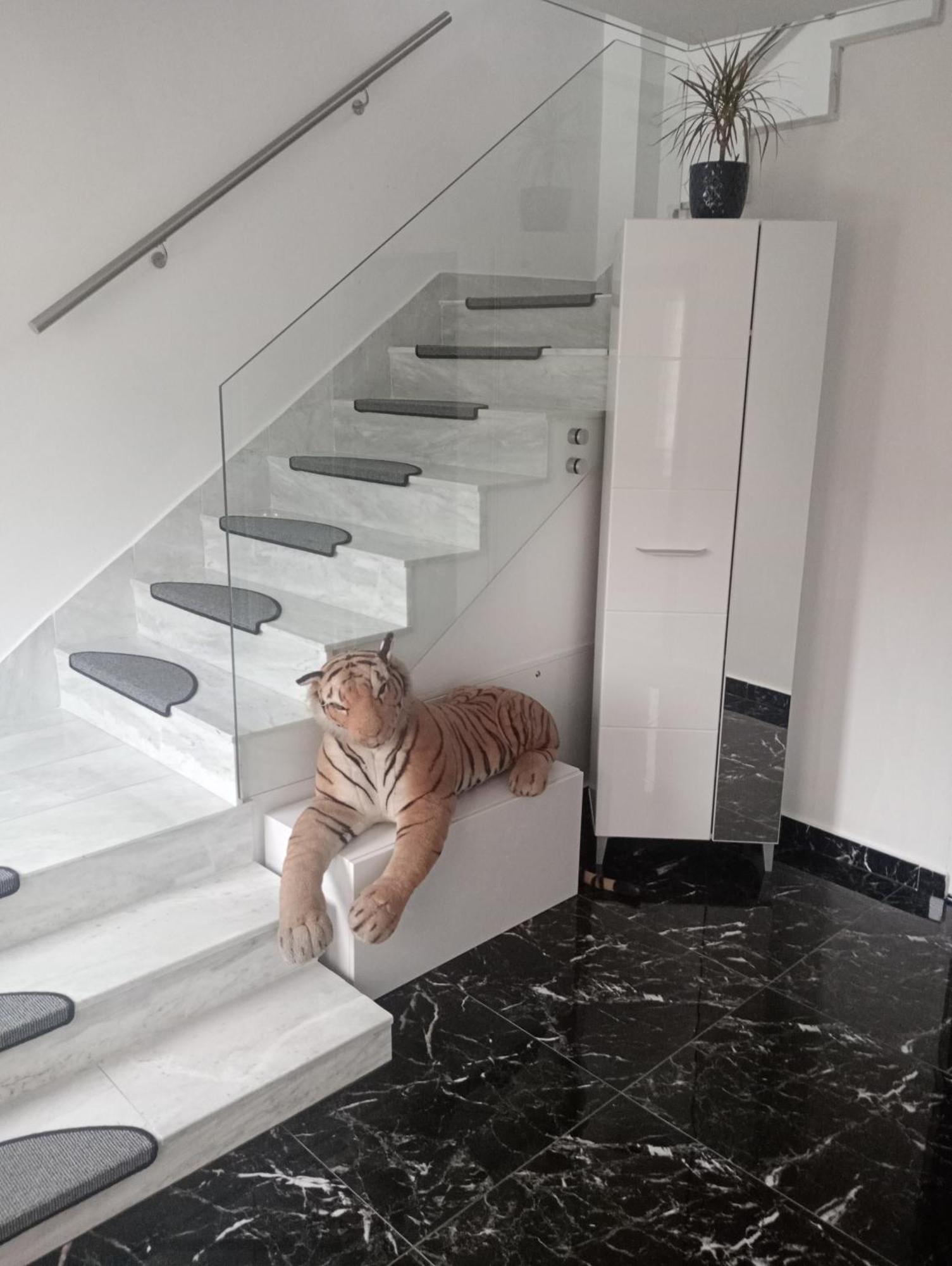 Izabella Guest House 萨彻勒 外观 照片